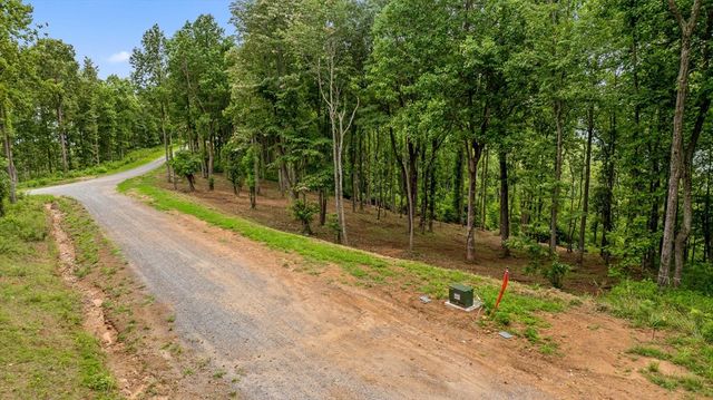 Lot 374 N Mountain Ridge Road, Talking Rock, GA 30175