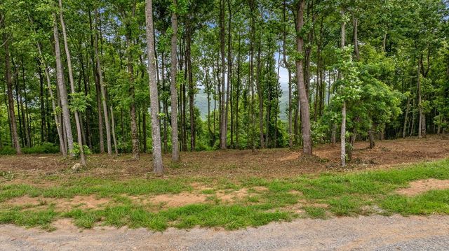 Lot 374 N Mountain Ridge Road, Talking Rock, GA 30175