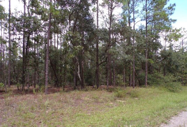617 E MARQUETTE LANE, Dunnellon, FL 34434