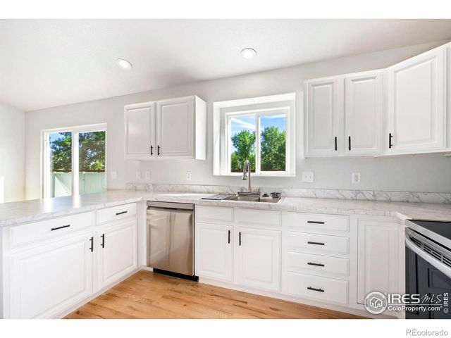 312 Whitney Bay, Windsor, CO 80550