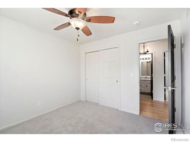 312 Whitney Bay, Windsor, CO 80550