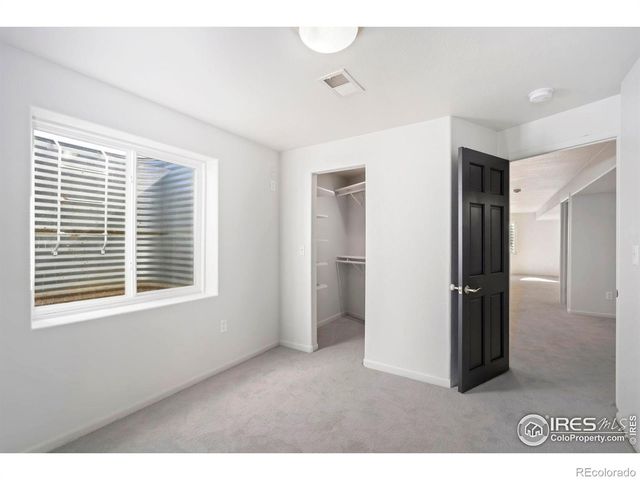 312 Whitney Bay, Windsor, CO 80550