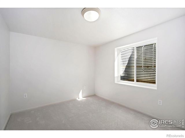 312 Whitney Bay, Windsor, CO 80550