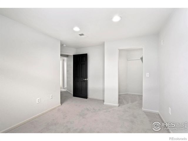 312 Whitney Bay, Windsor, CO 80550