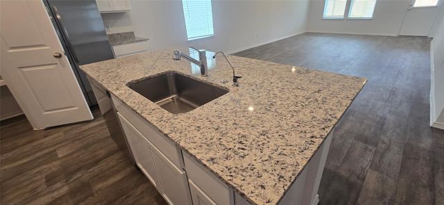 3046 Holland Lakes Drive, Fulshear, TX 77441
