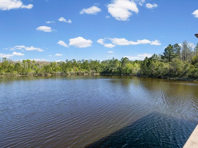 8519 MAY PORT COURT, Land O Lakes, FL 34638