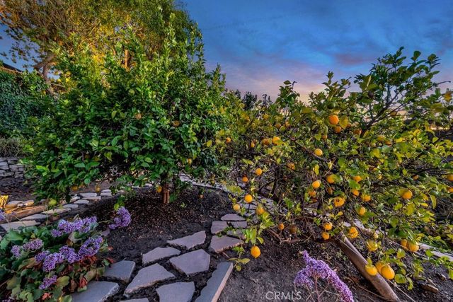3461 Alginet, Encino, CA 91436