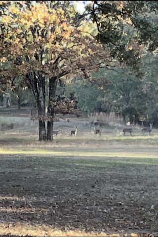 1739 RS County Road 3345, Emory, TX 75440