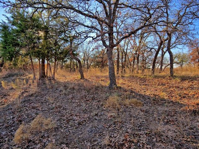 103 Diamond Oaks Drive, Nocona, TX 76255