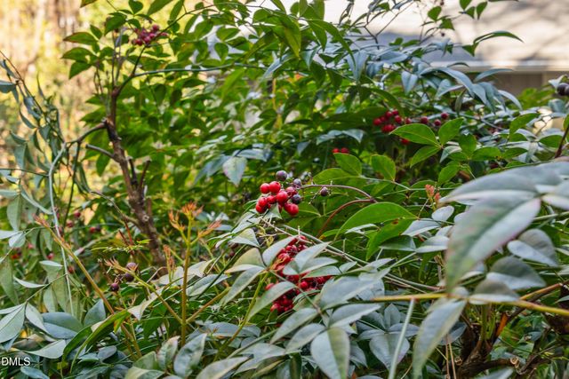 7601 Southwick Court, Wake Forest, NC 27587