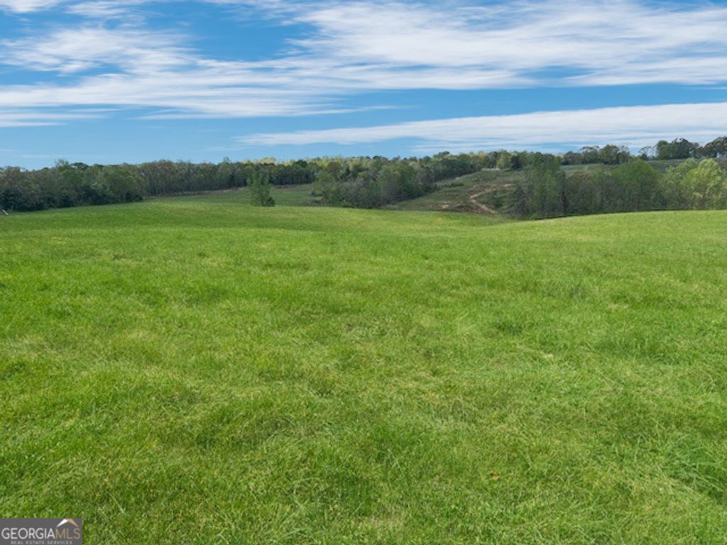 963 Gooseneck Road LOT 2, Eastanollee, GA 30538 — exterior