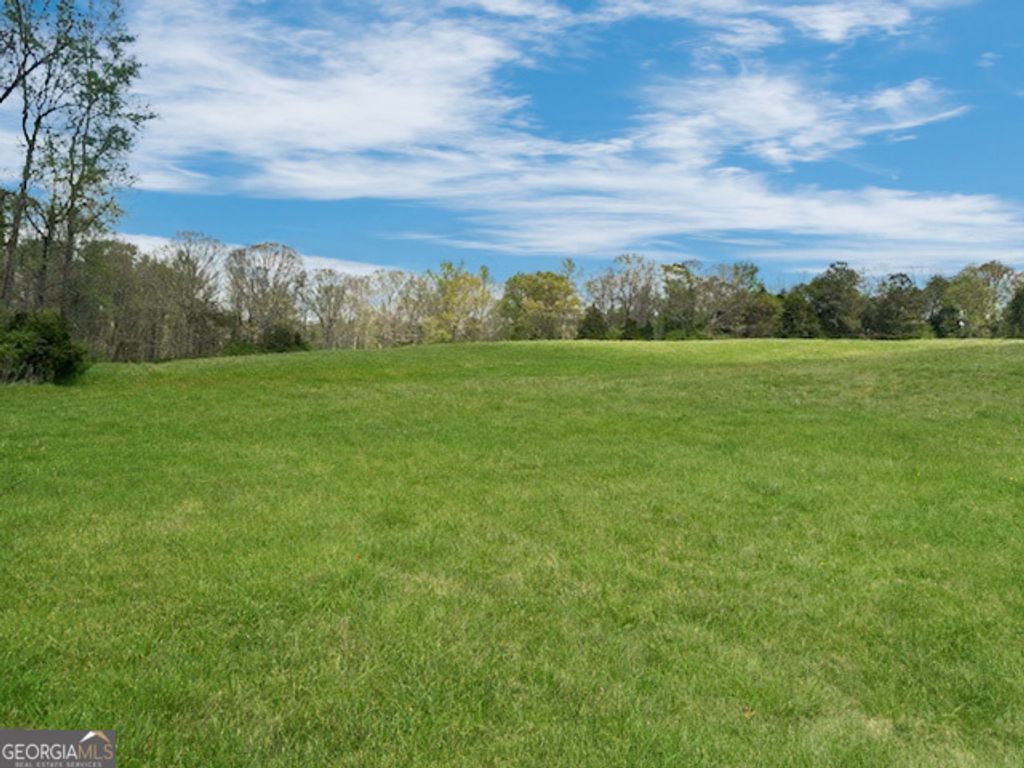 963 Gooseneck Road LOT 2, Eastanollee, GA 30538 — photo 4