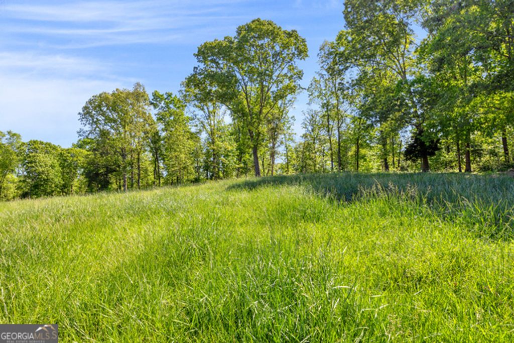 963 Gooseneck Road LOT 2, Eastanollee, GA 30538 — photo 5