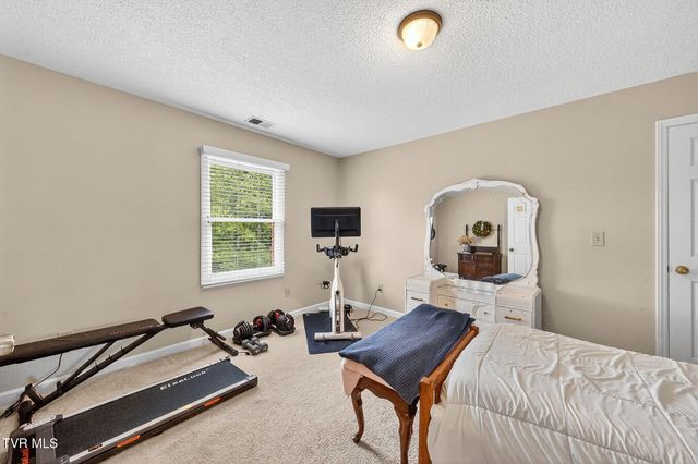1014 Whittling Wood Drive, Johnson City, TN 37601