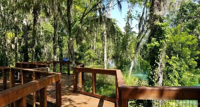 8216 N Upland Drive, Citrus Springs, FL 34434