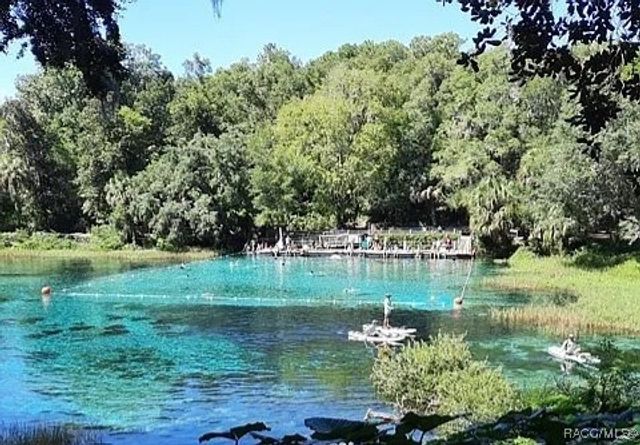 8216 N Upland Drive, Citrus Springs, FL 34434