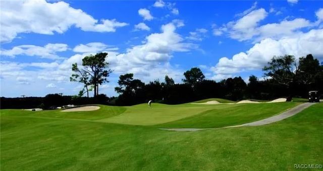 8216 N Upland Drive, Citrus Springs, FL 34434