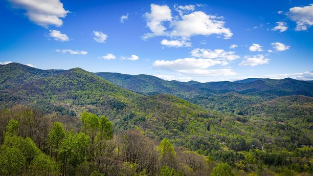890 Brittney Drive, Blue Ridge, GA 30513