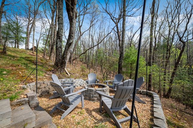 890 Brittney Drive, Blue Ridge, GA 30513