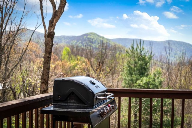 890 Brittney Drive, Blue Ridge, GA 30513