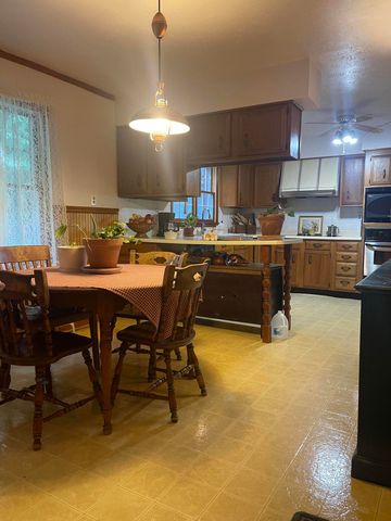 380 Daniels cr, Banner, KY 41603