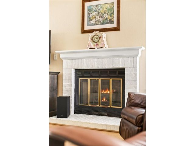 20 Shetland Ct, Highlands Ranch, CO 80130