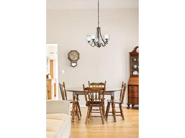 20 Shetland Ct, Highlands Ranch, CO 80130