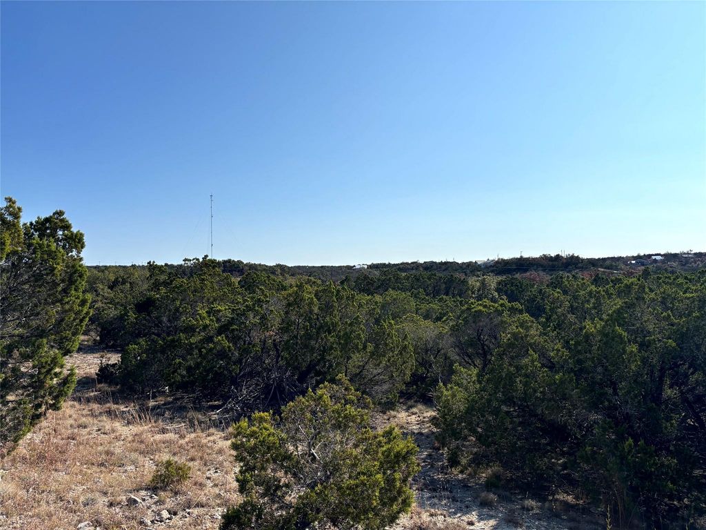 21924 Nameless RD, Leander, TX 78641