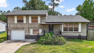 24046 BOBCAT ROAD, Astor, FL 32102