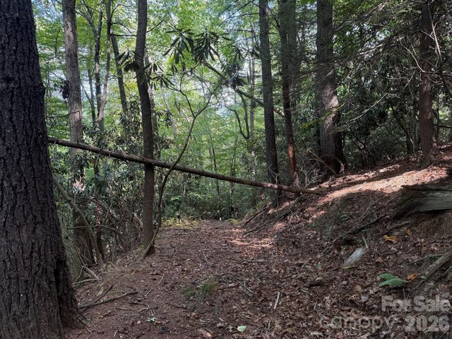 000B Rosalie Lane 20, Waynesville, NC 28785