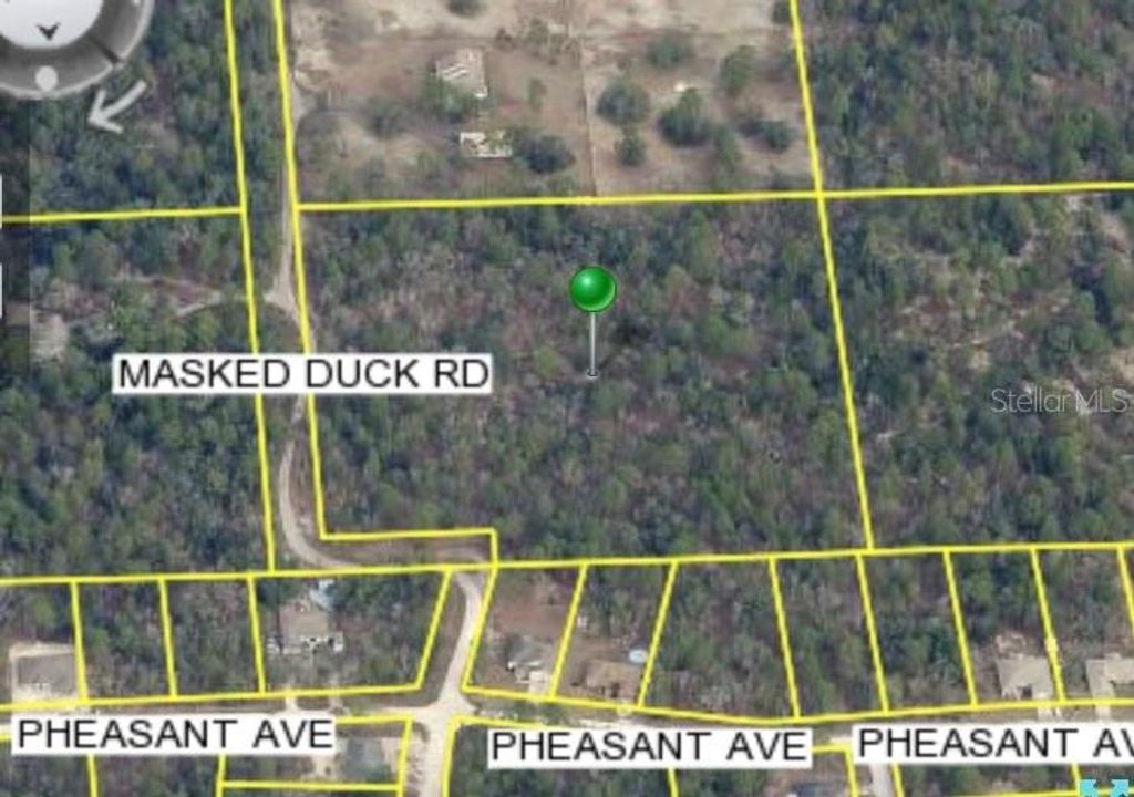 MASKED DUCK ROAD, Brooksville, FL 34614