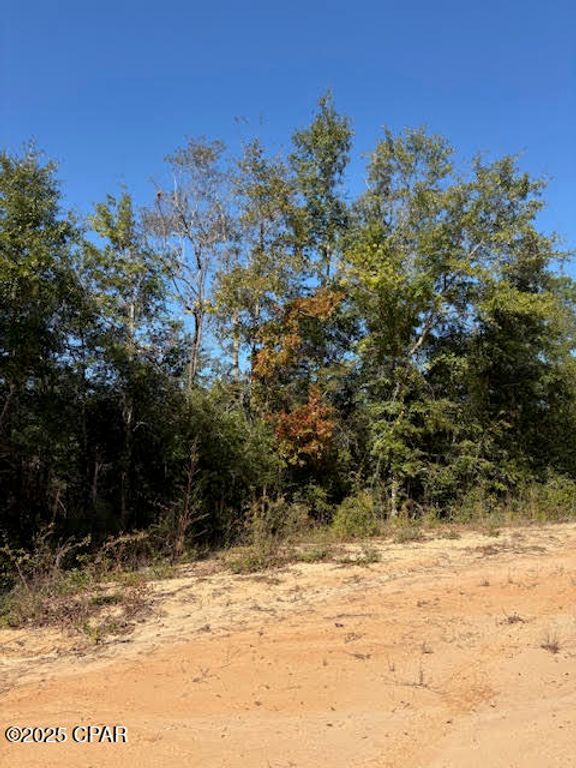 0 Southern Boulevard Lot 27, Alford, FL 32420