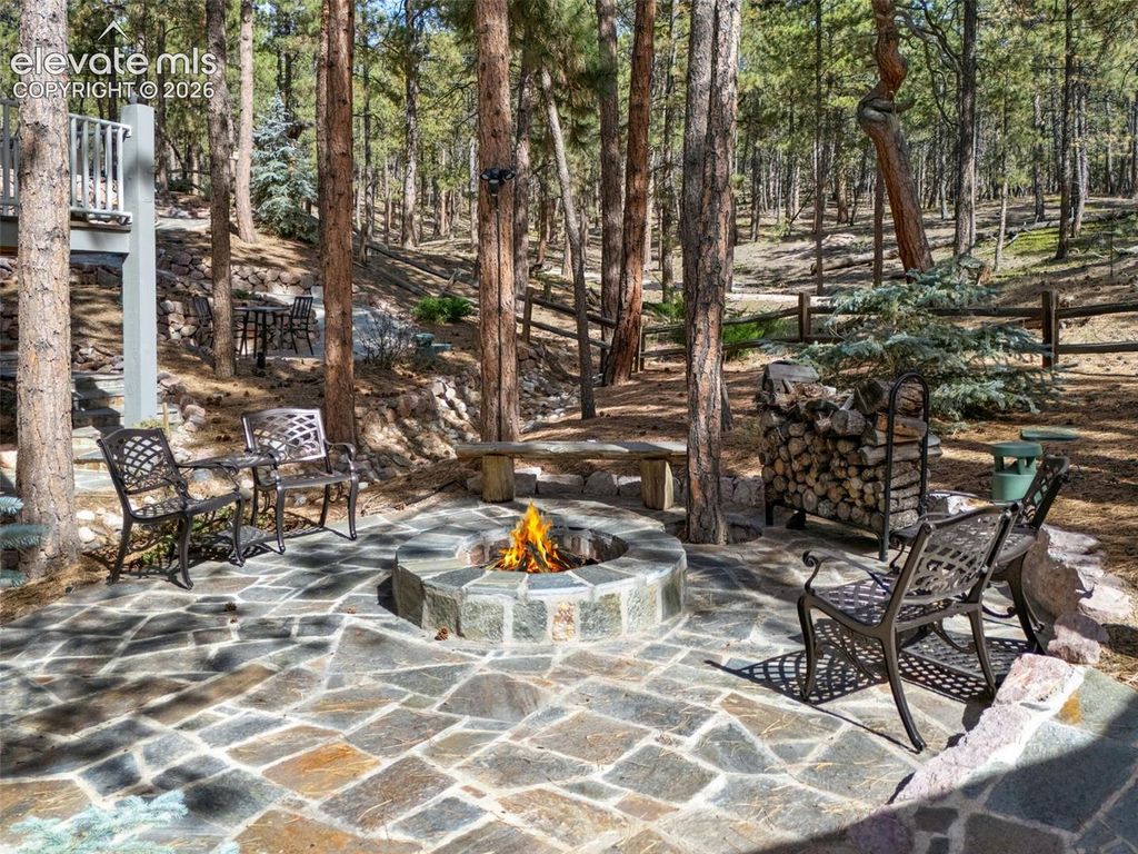 15765 Pineycove Court, Colorado Springs, CO 80921 — photo 4