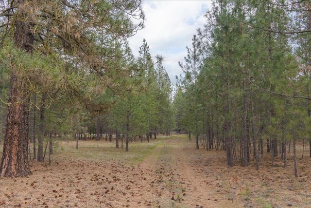 28202 N Bruce Rd, Chattaroy, WA 99003