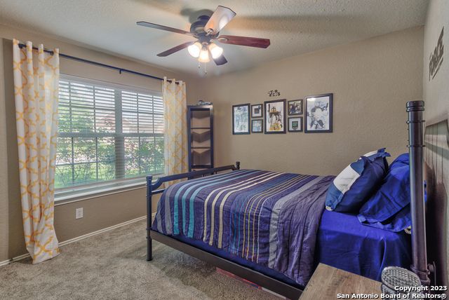 331 primrose, New Braunfels, TX 78132
