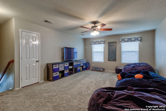 331 primrose, New Braunfels, TX 78132