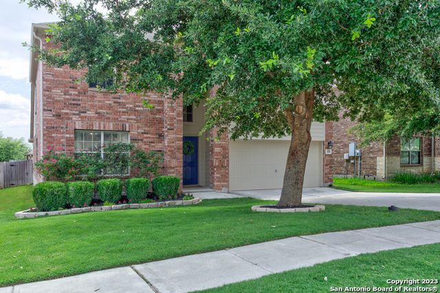331 primrose, New Braunfels, TX 78132