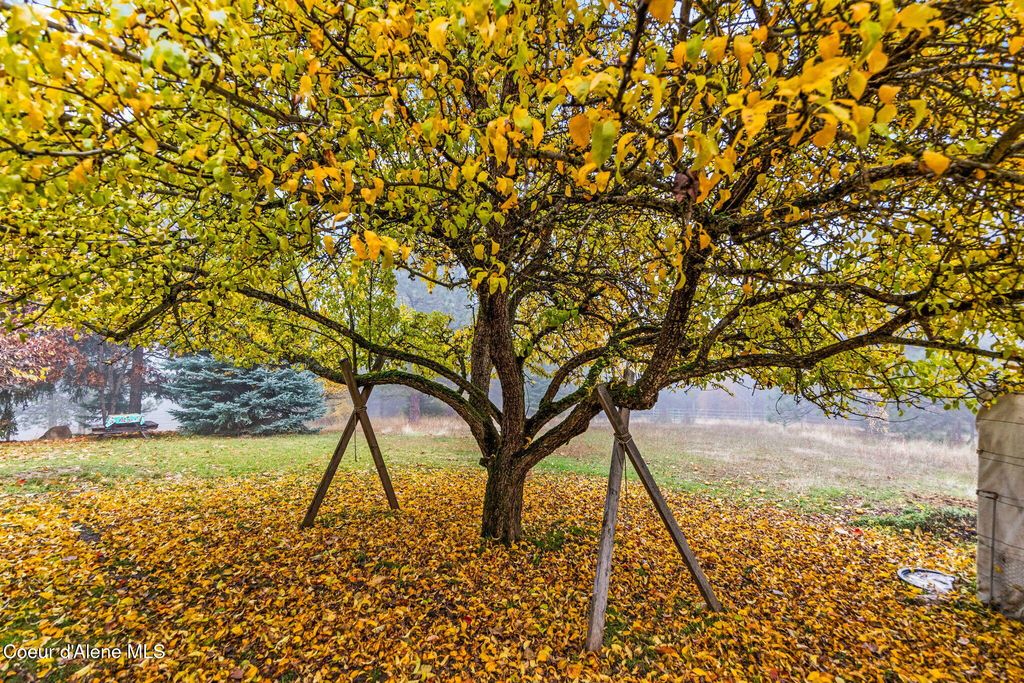 6584 E Burma Rd, Harrison, ID 83833 photo 57