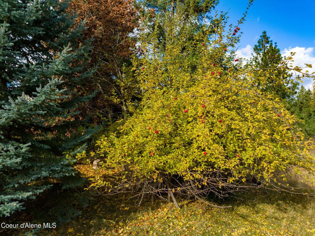 6584 E Burma Rd, Harrison, ID 83833 photo 58