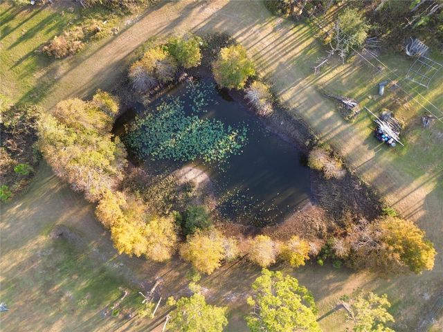 10989 NW LILY COUNTY LINE ROAD, Ona, FL 33865