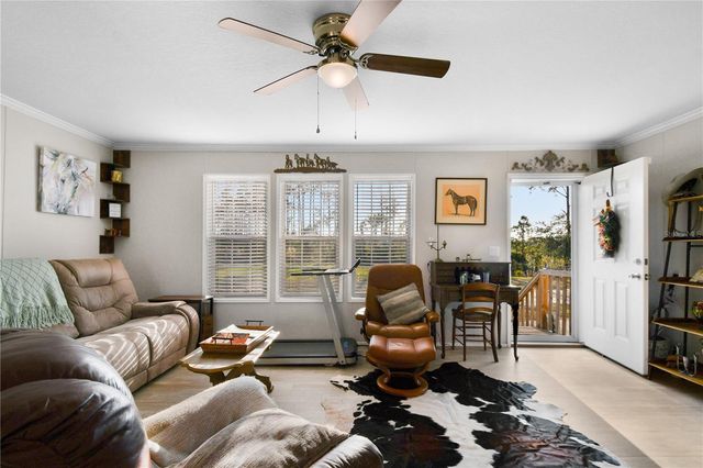 10989 NW LILY COUNTY LINE ROAD, Ona, FL 33865