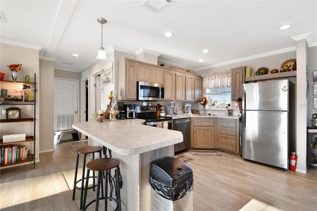 10989 NW LILY COUNTY LINE ROAD, Ona, FL 33865