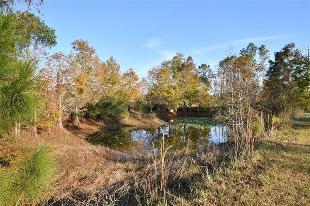 10989 NW LILY COUNTY LINE ROAD, Ona, FL 33865