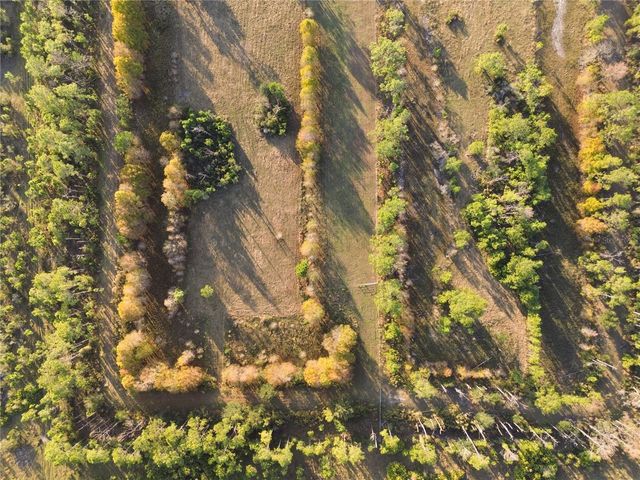 10989 NW LILY COUNTY LINE ROAD, Ona, FL 33865