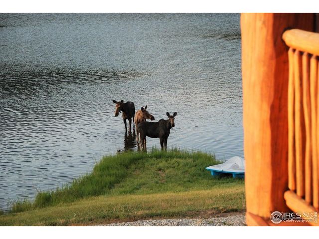 8705 County Road 224, Salida, CO 81201