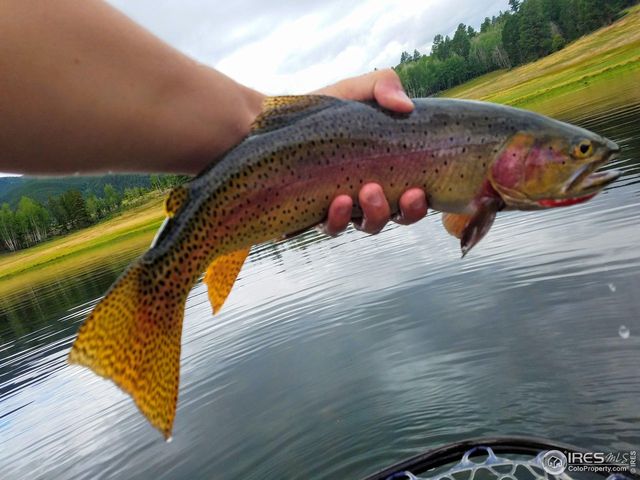 8705 County Road 224, Salida, CO 81201