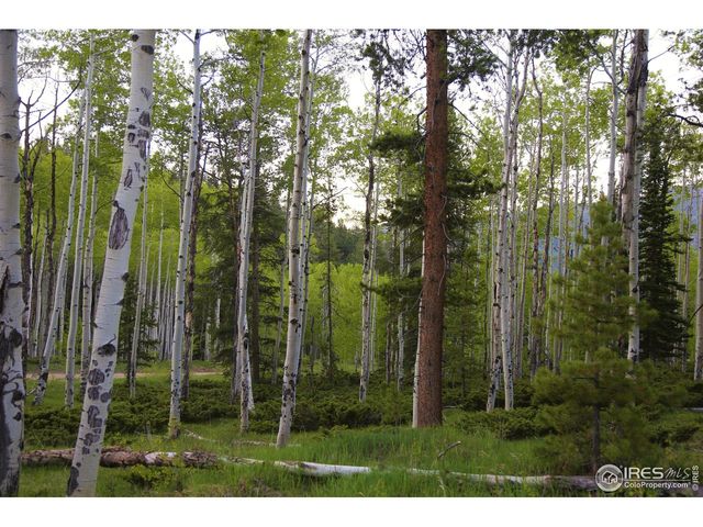 8705 County Road 224, Salida, CO 81201