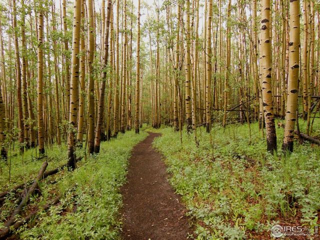 8705 County Road 224, Salida, CO 81201