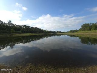 00 Payne Lake Road Road, Chipley, FL 32428