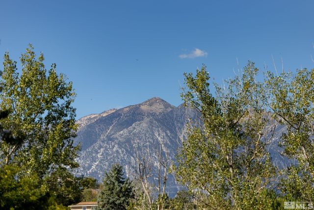 1580 Fifth Green Court, Gardnerville, NV 89460